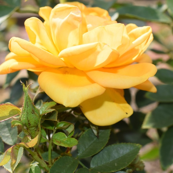 Meet your Posher, June - Picture 12 of 15